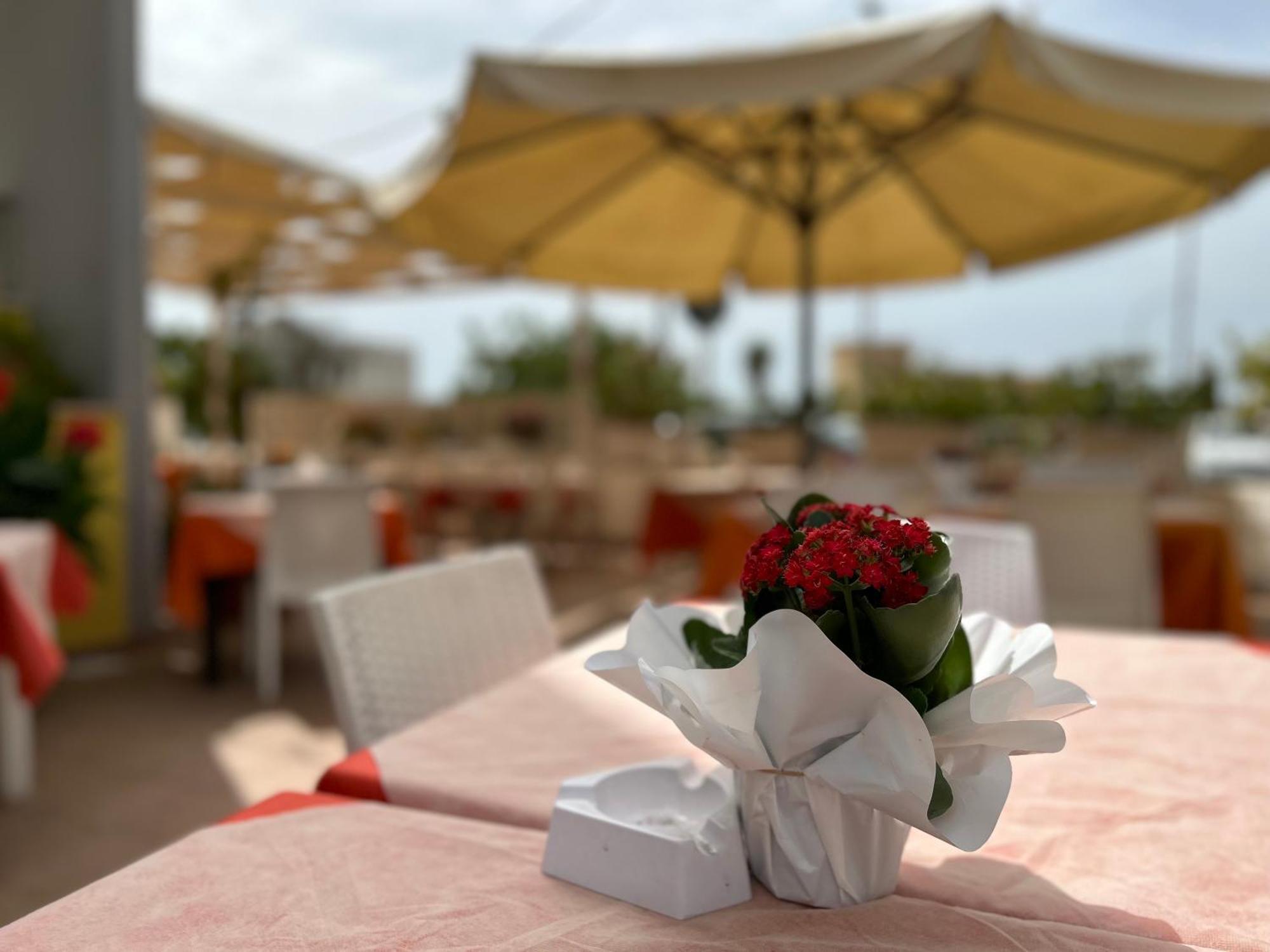 Costa Doro - Hotel Salve Dış mekan fotoğraf