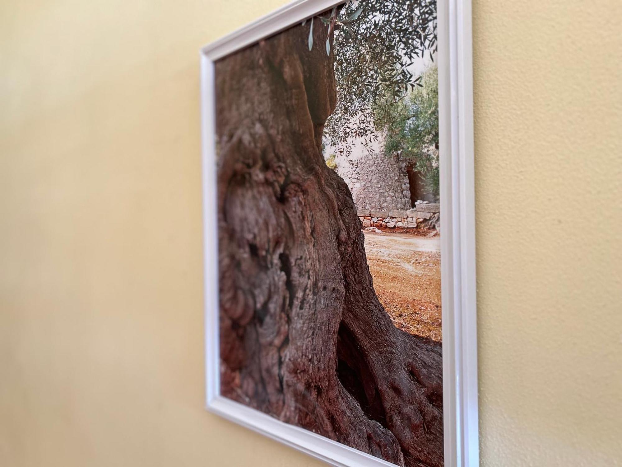 Costa Doro - Hotel Salve Dış mekan fotoğraf